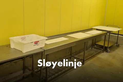 Sløyelinje