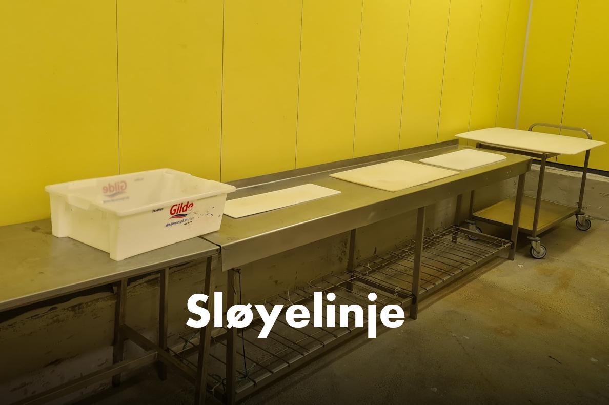 Sløyelinje